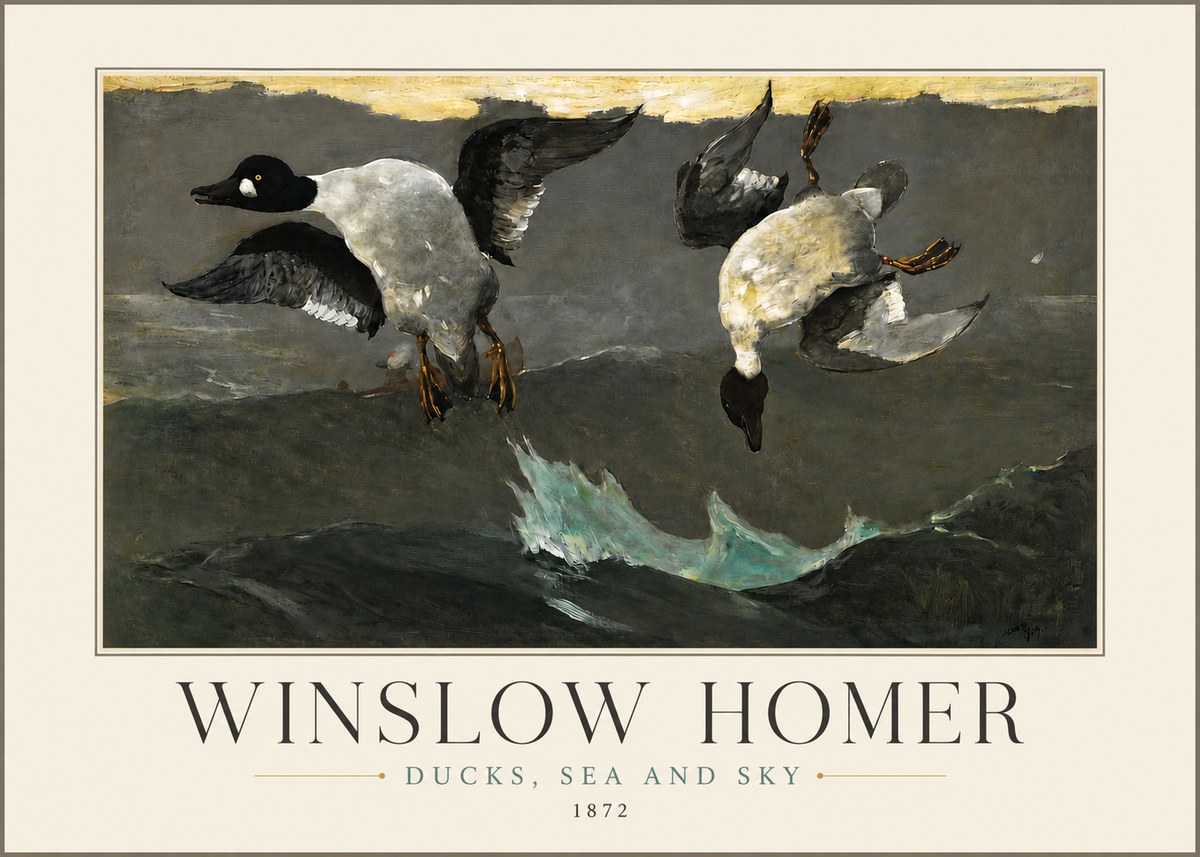 Winslow Homer Ducks, Sea and Sky No3 - Plakat