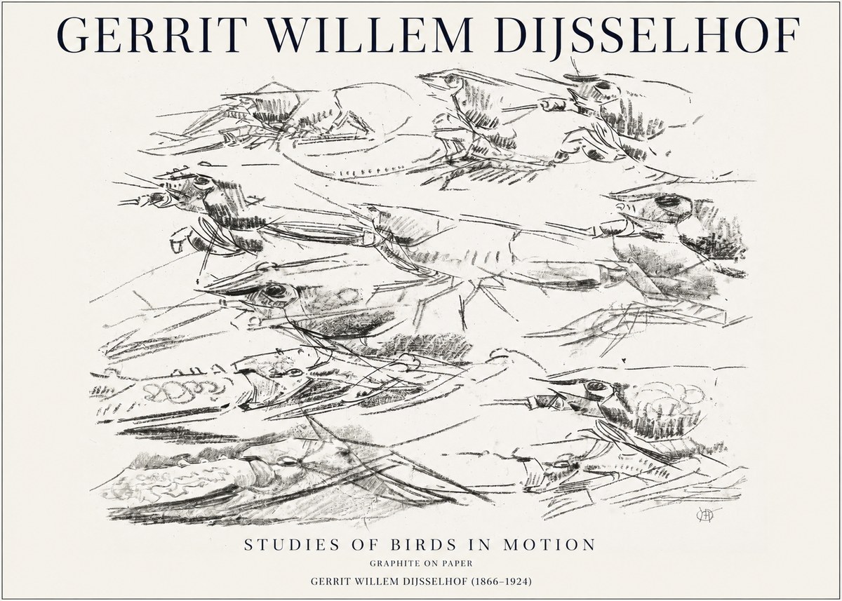 Gerrit Willem Dijsselhof Studies of Birds in Motion No1 - Plakat