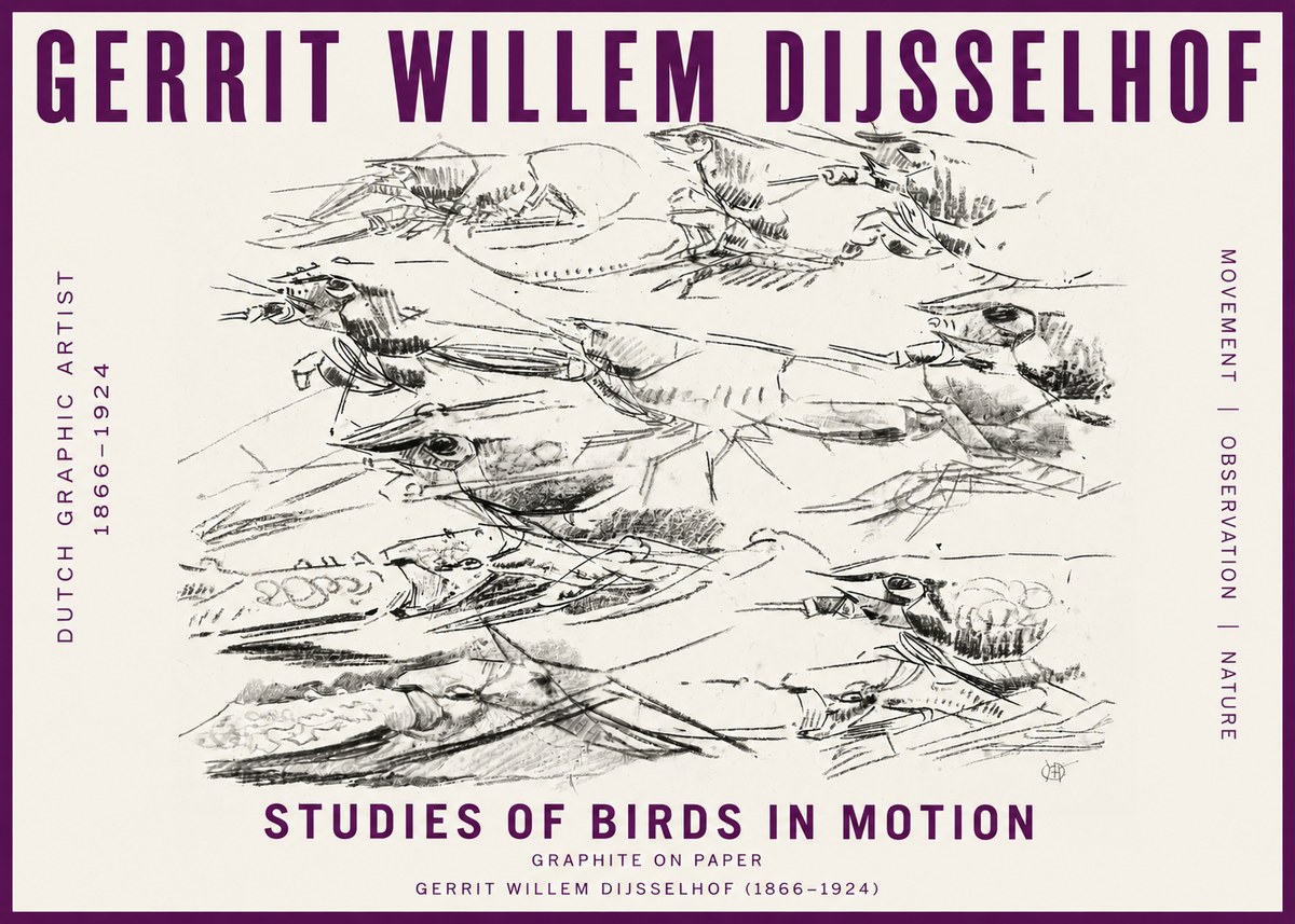 Gerrit Willem Dijsselhof Studies of Birds in Motion No5 - Plakat