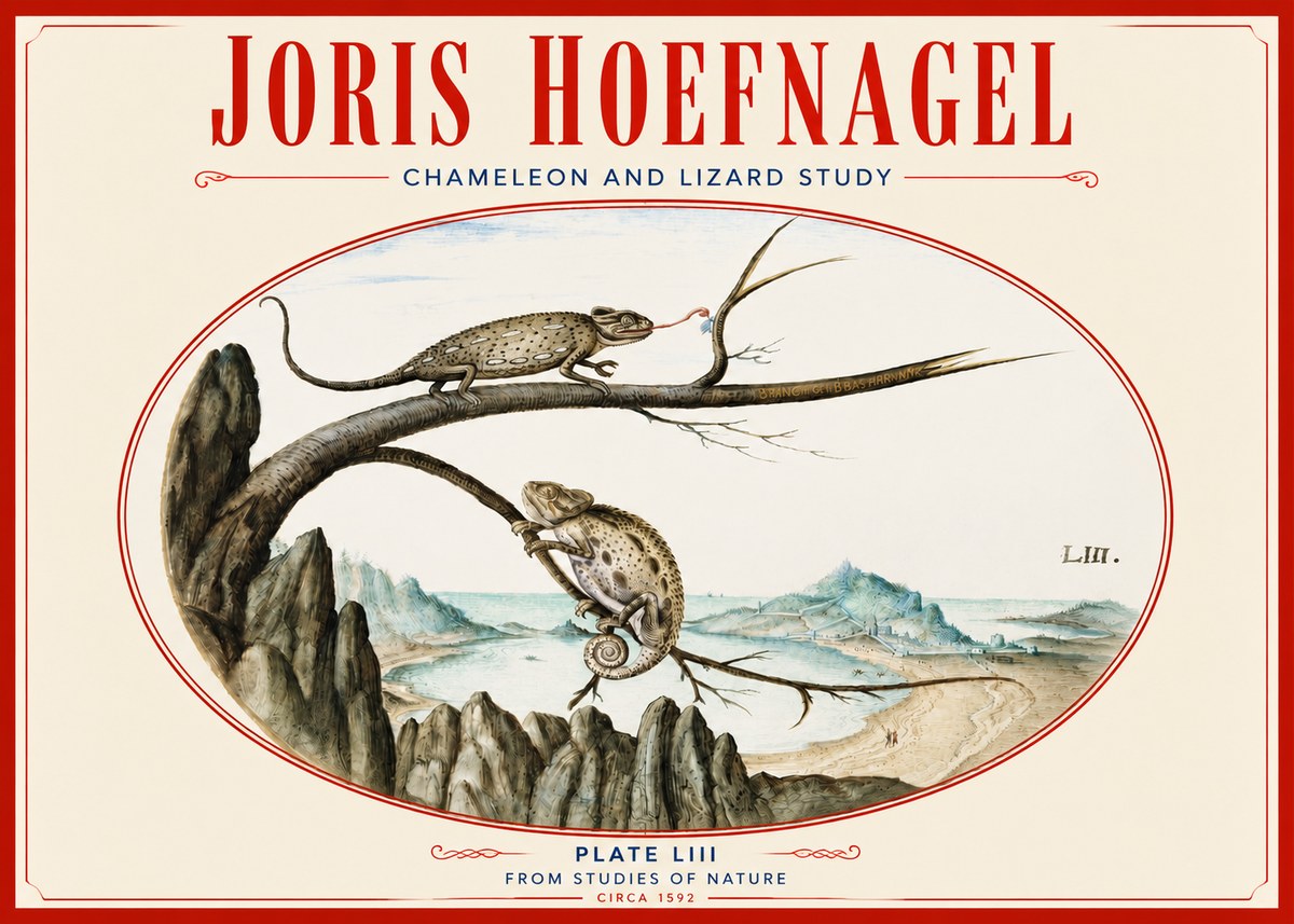 Joris Hoefnagel Chameleon and Lizard No4 - Plakat