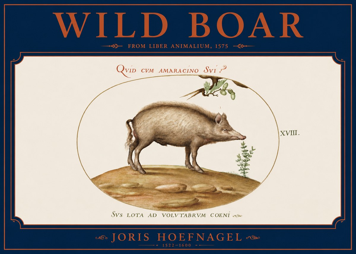 Joris Hoefnagel Qvid Cvm Amaracino Svi? No4 - Plakat
