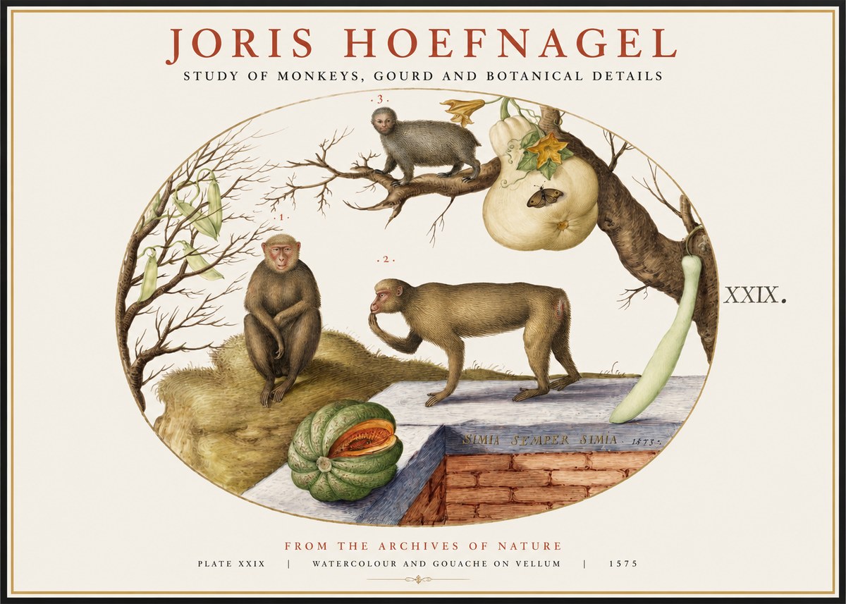 Joris Hoefnagel But Always a Monkey, Always a Monkey. Plate Xxix No2 - Plakat