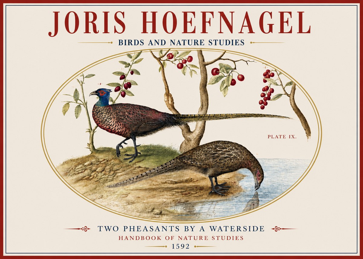 Joris Hoefnagel Peacocks and Pheasants Among Fruiting Branches No4 - Plakat
