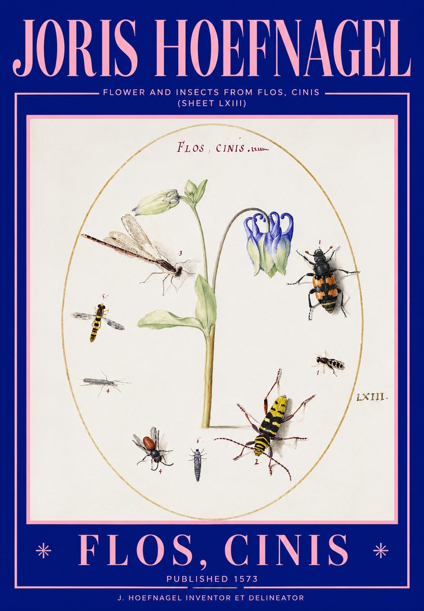 Joris Hoefnagel Insects and a Flower Study No3 - Plakat