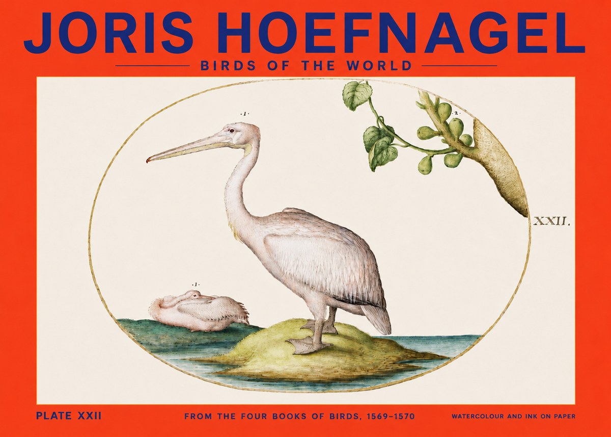 Joris Hoefnagel Plate Xxii No4 - Plakat