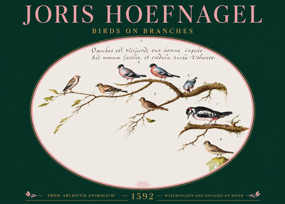 Joris Hoefnagel Birds on Branches No2 - Plakat