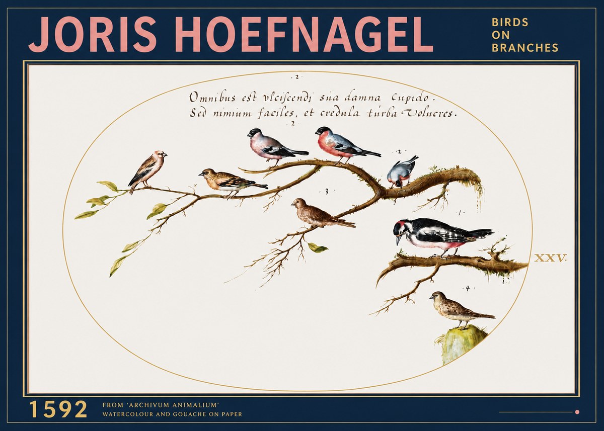 Joris Hoefnagel Birds on Branches No3 - Plakat