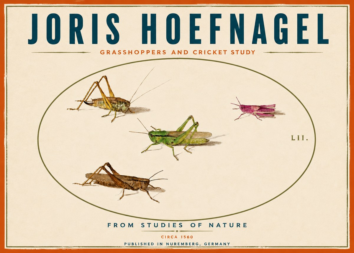 Joris Hoefnagel Three Grasshoppers and a Locust No6 - Plakat