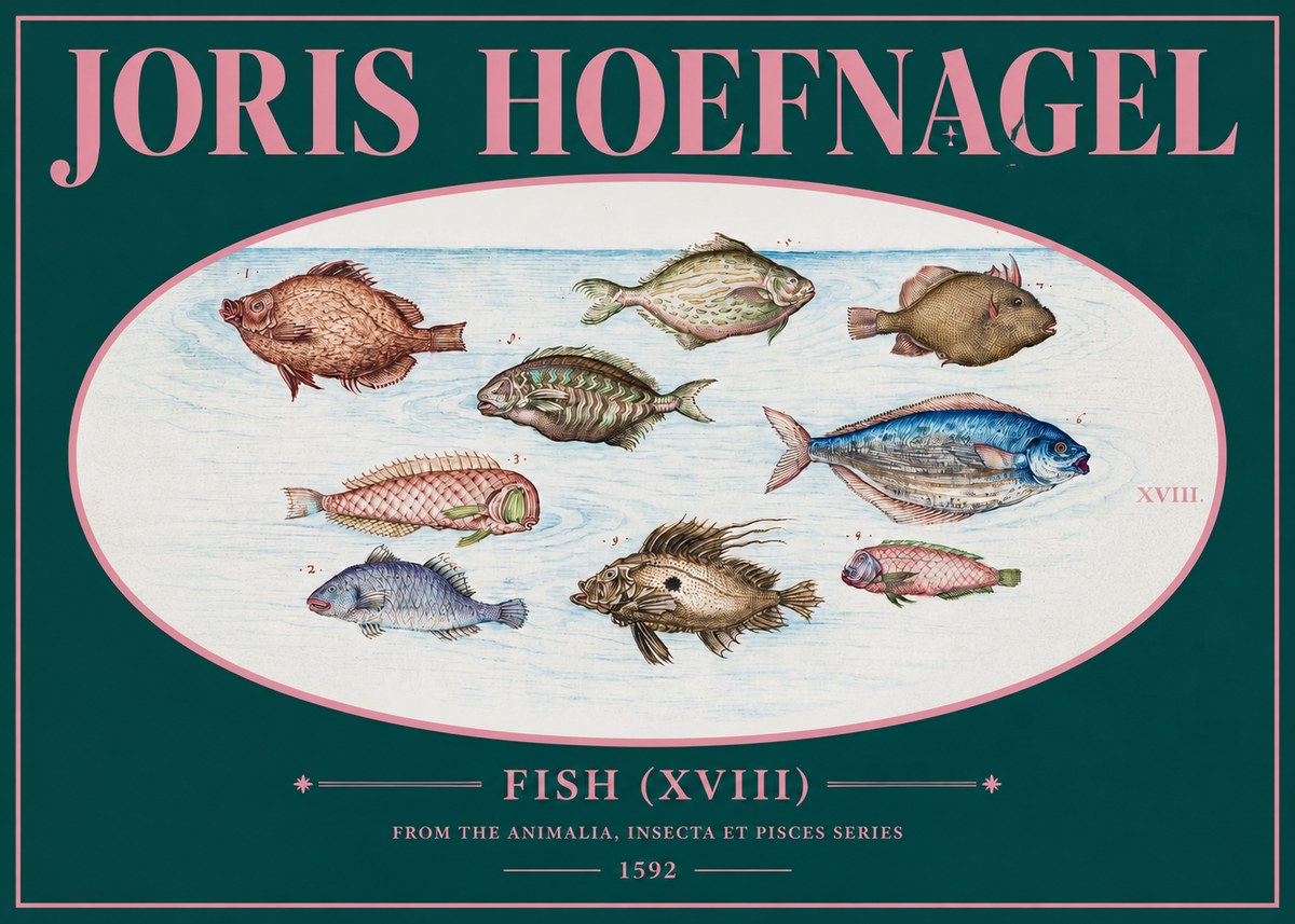 Joris Hoefnagel Studies of Fish I No3 - Plakat