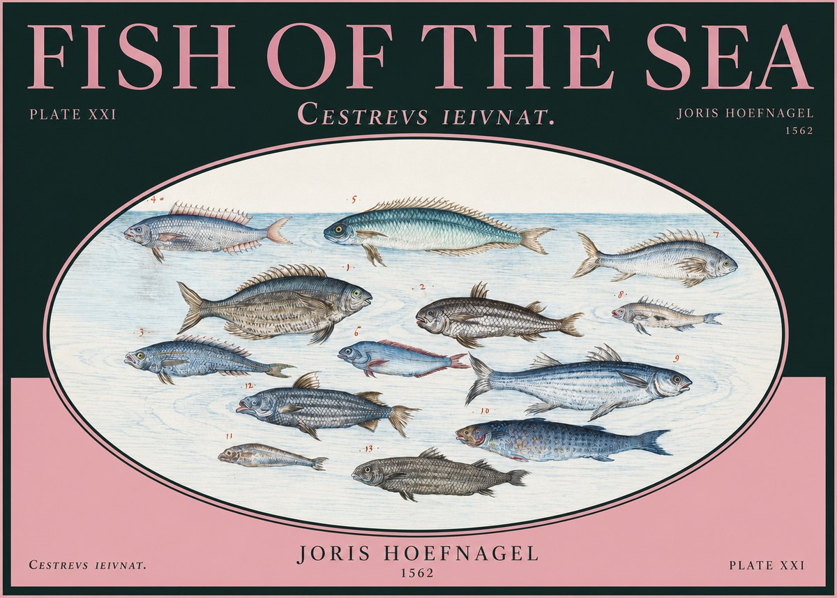 Joris Hoefnagel Fish of the Sea - Cestrevs Ieivnat. Plate Xxi No2 - Plakat