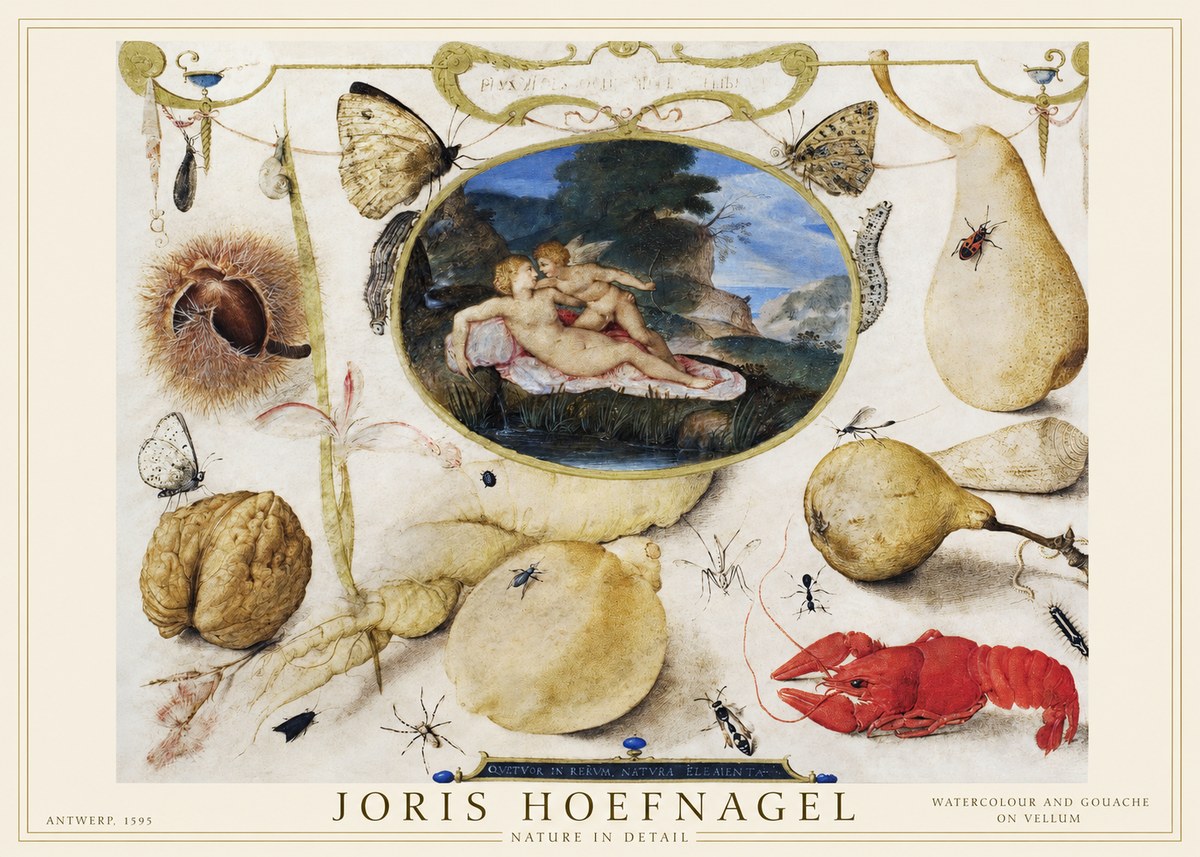 Joris Hoefnagel Nature in Detail No1 - Plakat
