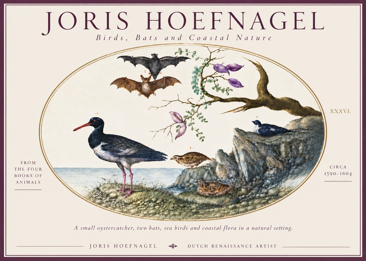 Joris Hoefnagel Birds, Bats and Coastal Nature No6 - Plakat