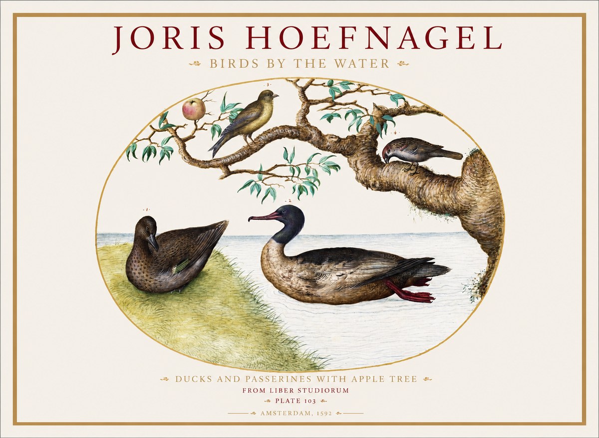 Joris Hoefnagel Ducks and Passerines with Apple Tree No1 - Plakat