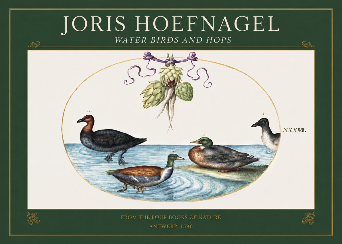 Joris Hoefnagel Waterfowl and Hop Bine No5 - Plakat
