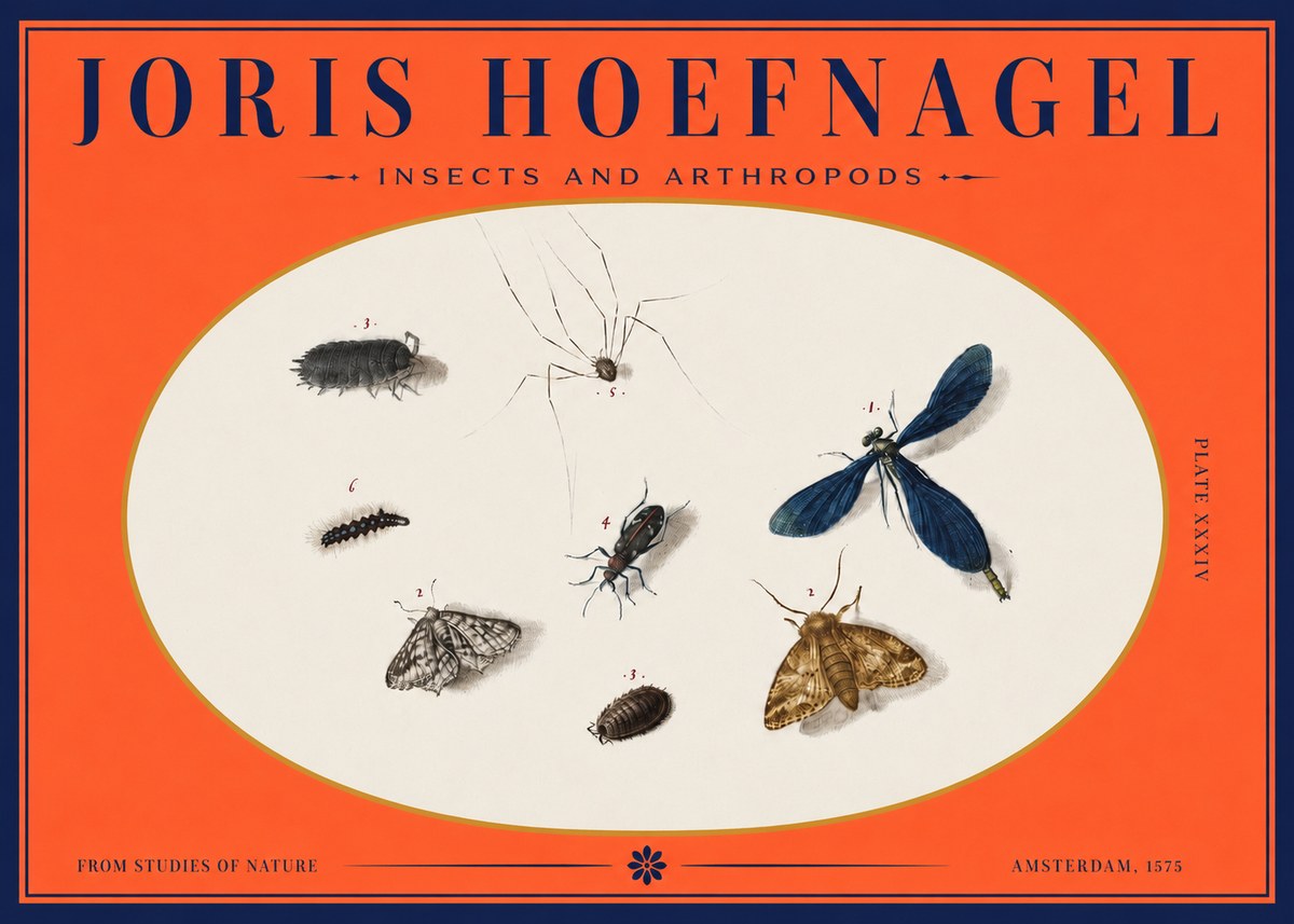 Joris Hoefnagel Insects and Arthropods No3 - Plakat