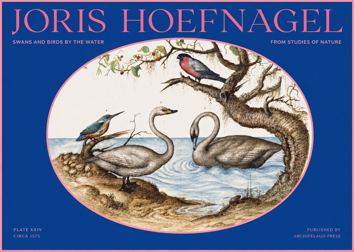 Joris Hoefnagel Swans and Birds by the Water No2 - Plakat