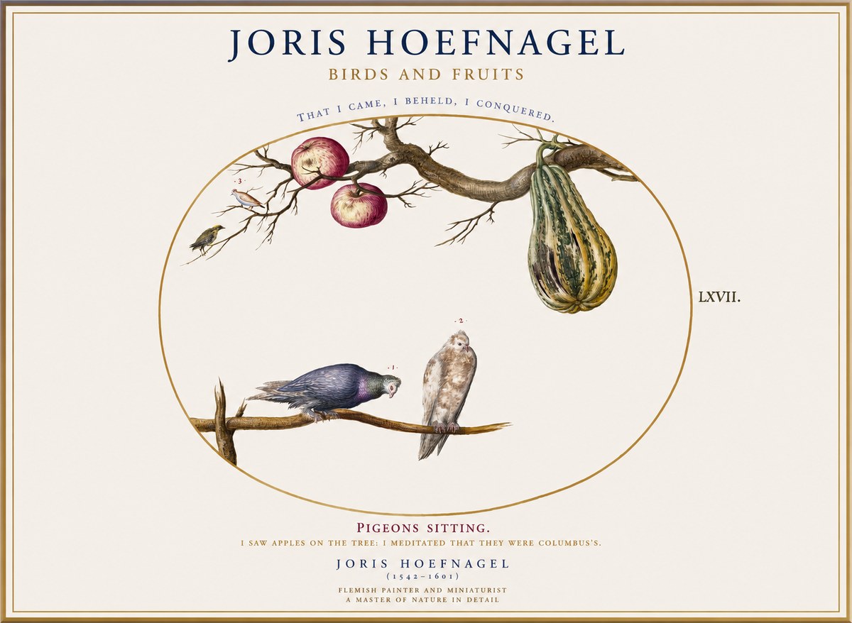 Joris Hoefnagel Pigeons Sitting. No1 - Plakat