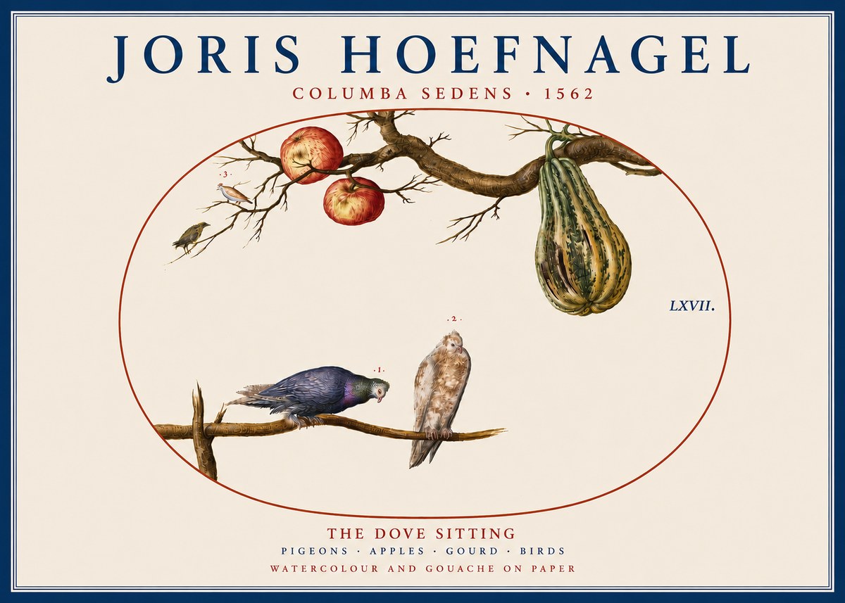 Joris Hoefnagel Pigeons Sitting. No5 - Plakat
