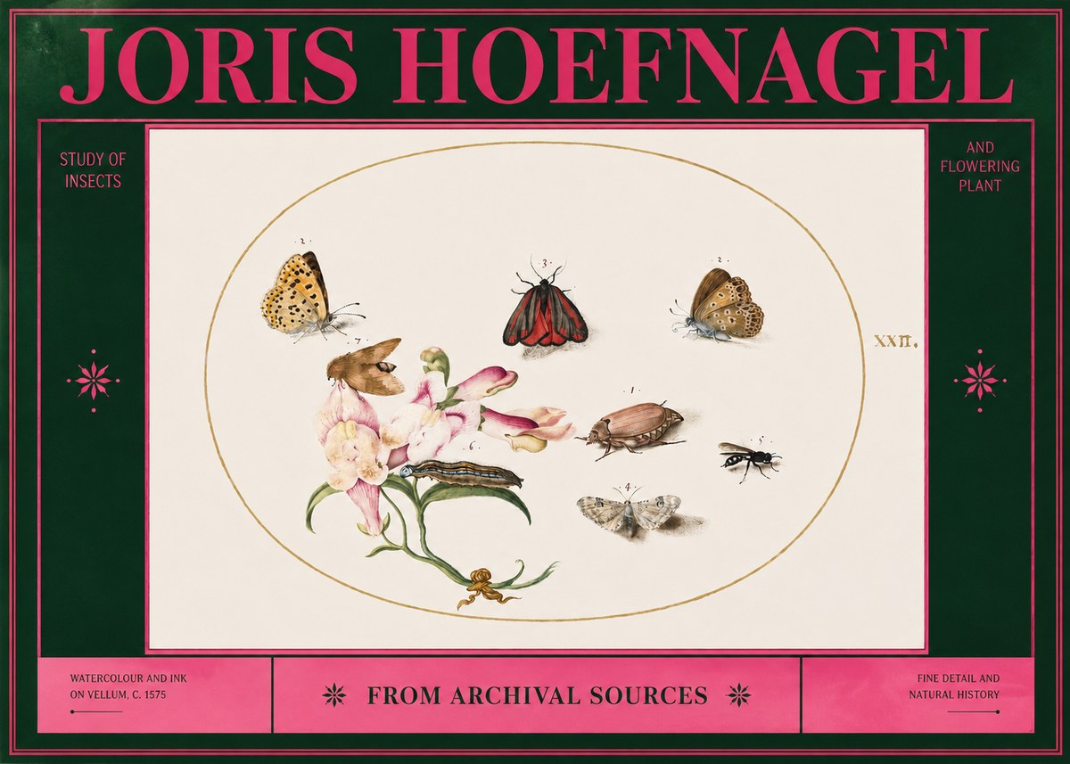 Joris Hoefnagel Study of Insects and Flowering Plant No2 - Plakat