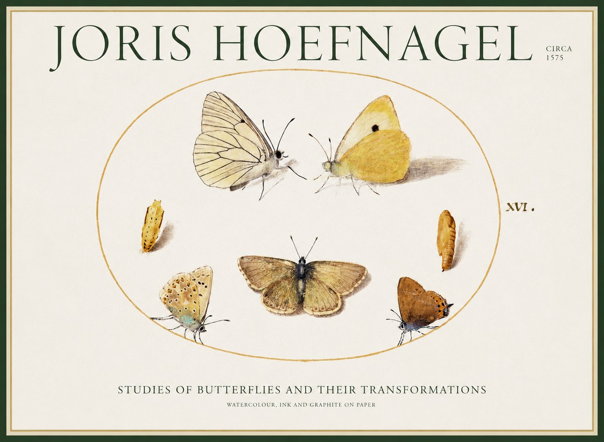 Joris Hoefnagel Studies of Butterflies and Their Transformations No1 - Plakat