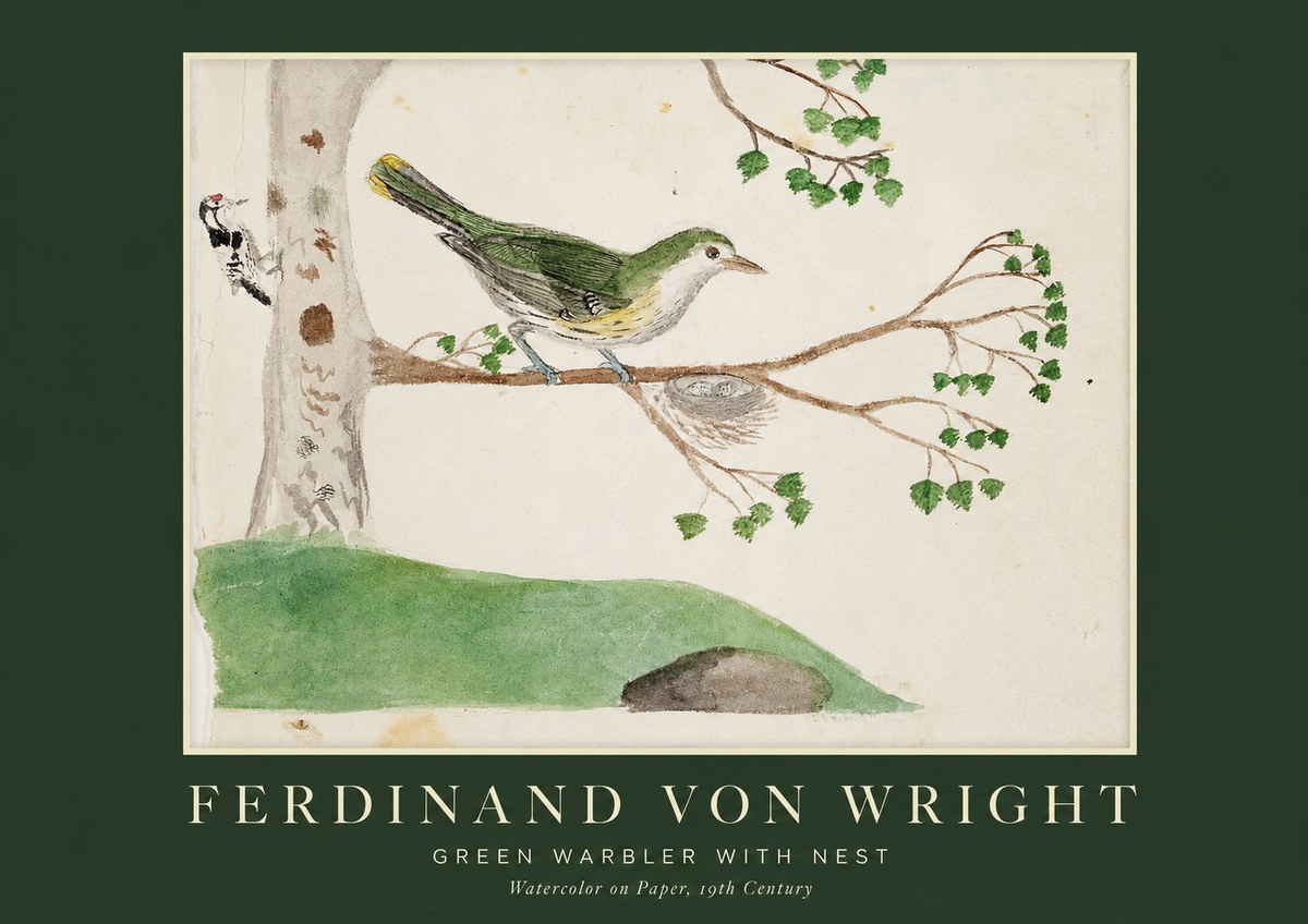 Ferdinand von Wright Green Warbler with Nest No1 - Plakat