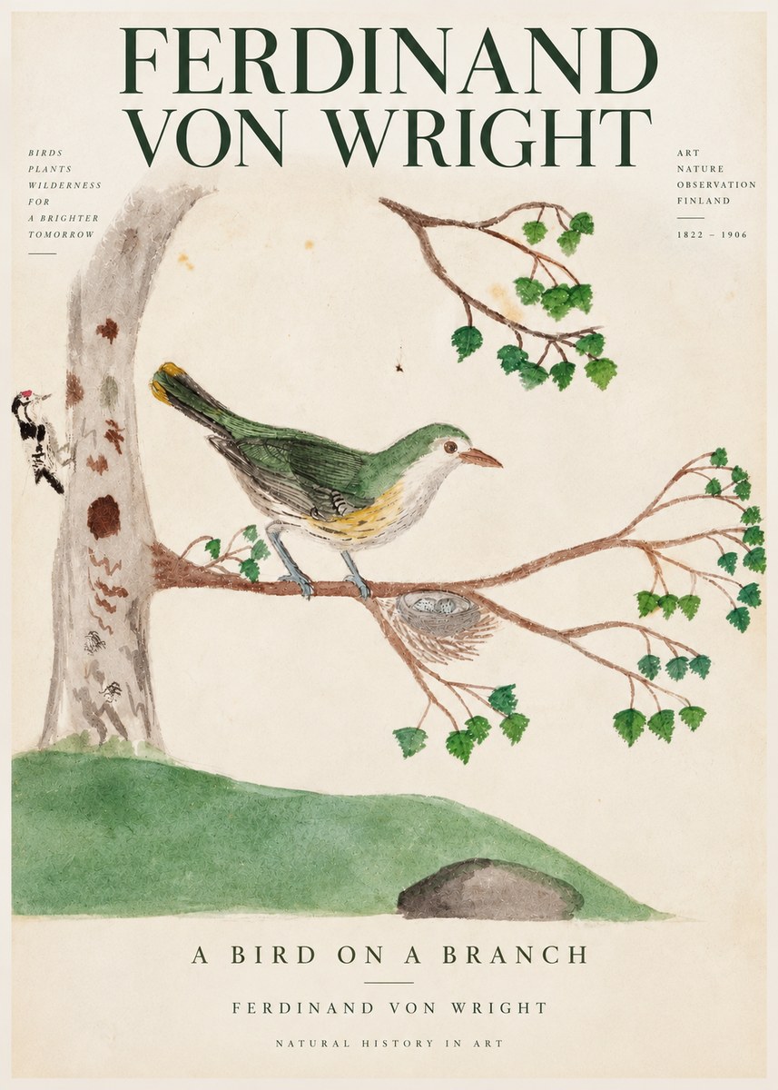 Ferdinand von Wright Green Warbler with Nest No4 - Plakat