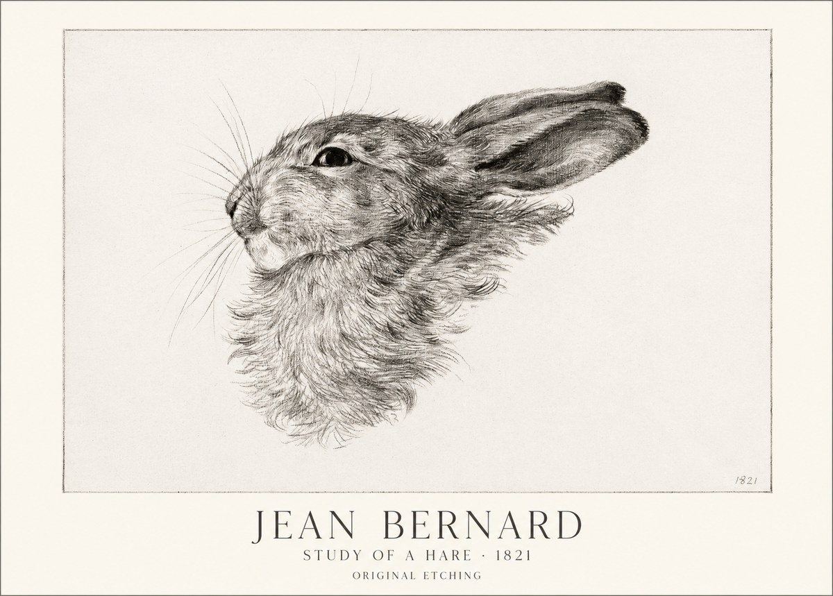 Jean Bernard Study of a Hare No1 - Plakat
