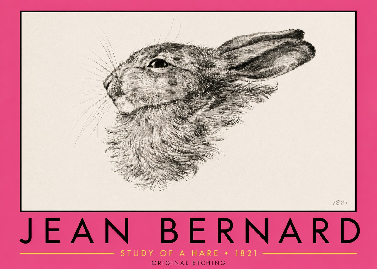 Jean Bernard Study of a Hare No5 - Plakat