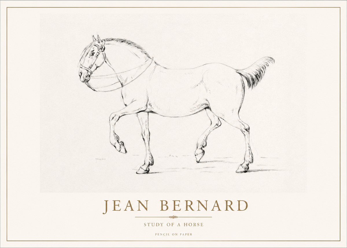 Jean Bernard Study of a Horse XVI No1 - Plakat