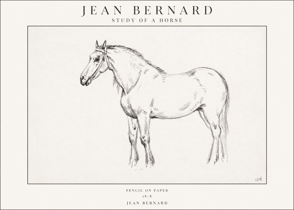 Jean Bernard Study of a Horse XVII No1 - Plakat