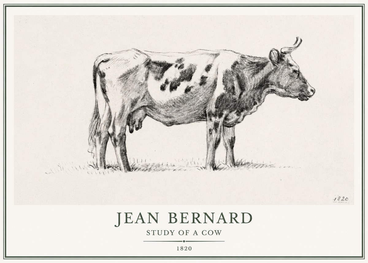 Jean Bernard Study of a Cow XX No1 - Plakat