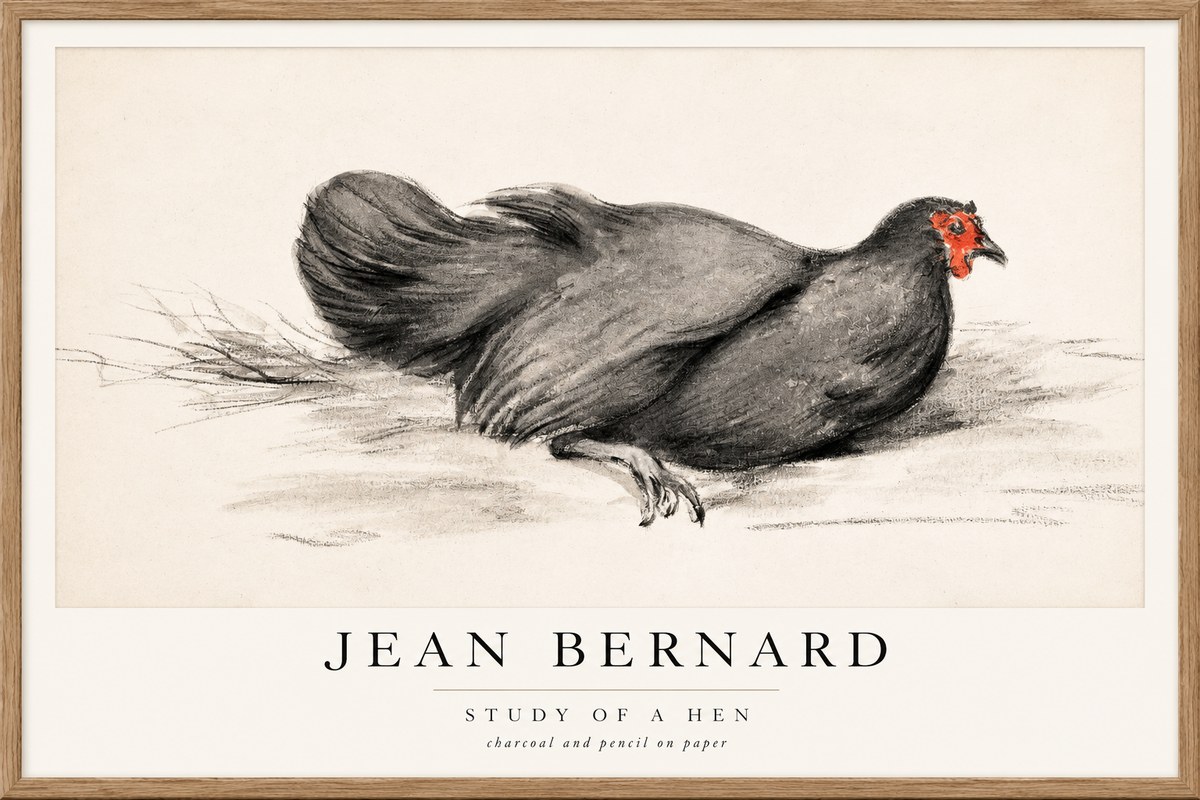 Jean Bernard Study of a Hen No1 - Plakat