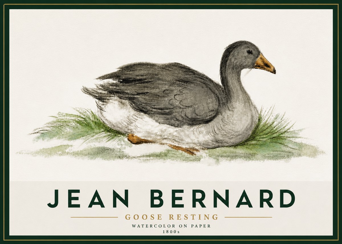 Jean Bernard Goose Resting No5 - Plakat