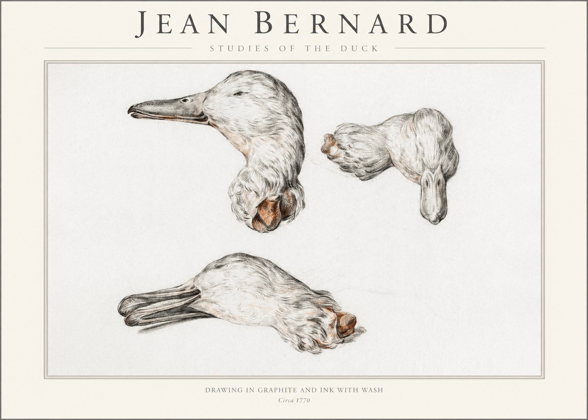 Jean Bernard Studies of the Duck No1 - Plakat