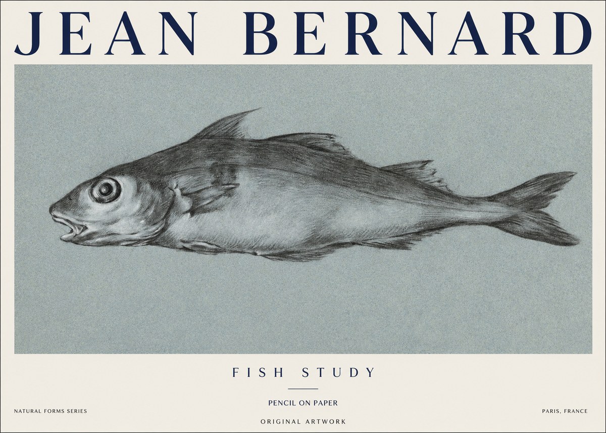 Jean Bernard Fish Study I No1 - Plakat