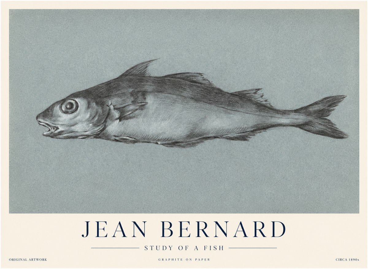 Jean Bernard Fish Study I No4 - Plakat