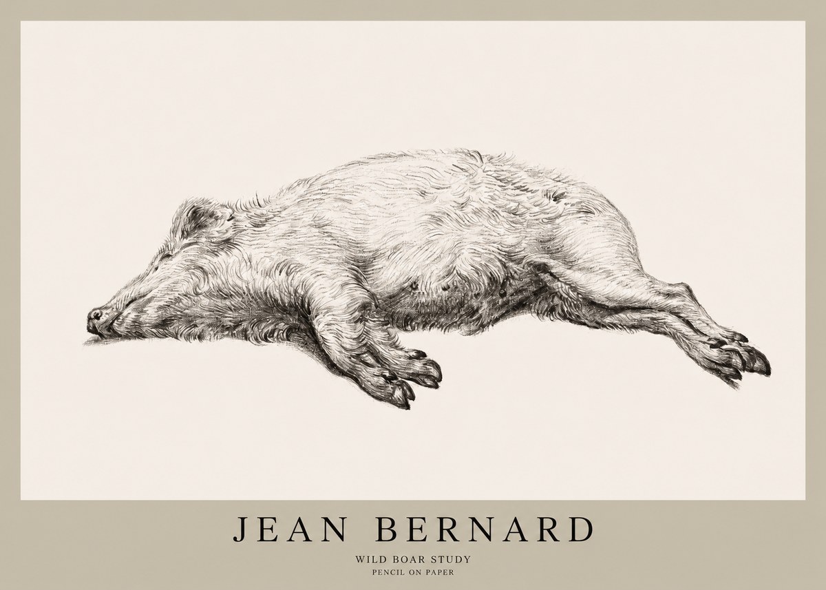 Jean Bernard Wild Boar Study No1 - Plakat