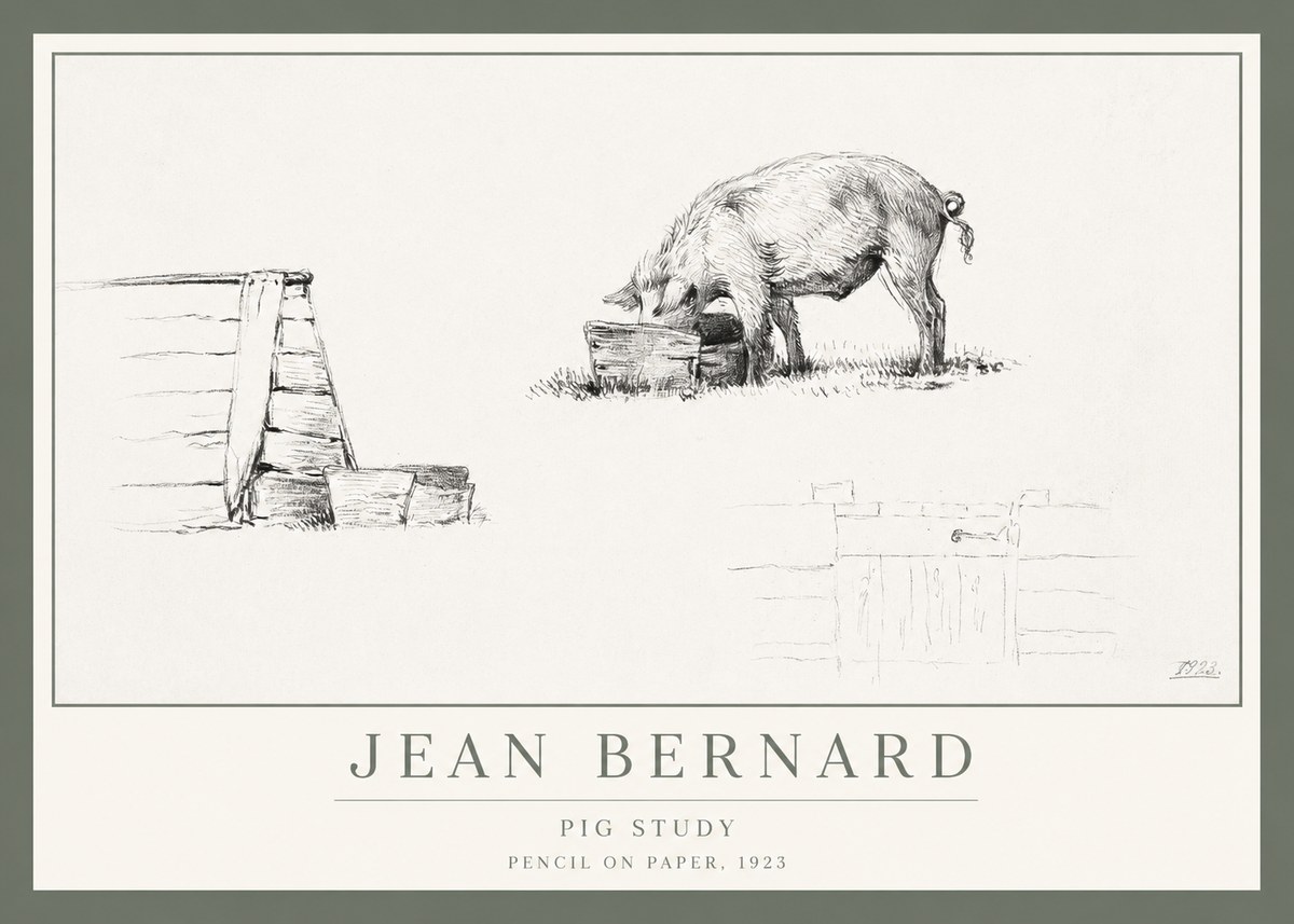 Jean Bernard Pig Study No1 - Plakat