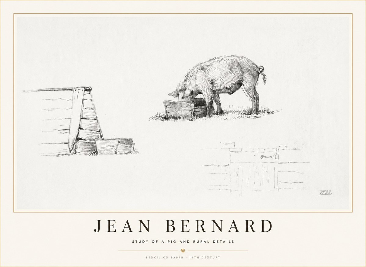 Jean Bernard Pig Study No2 - Plakat