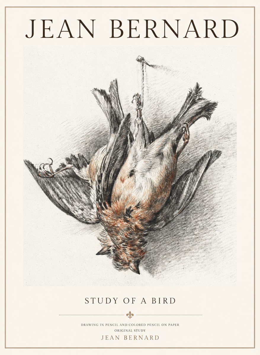 Jean Bernard Study of a Bird IV No3 - Plakat