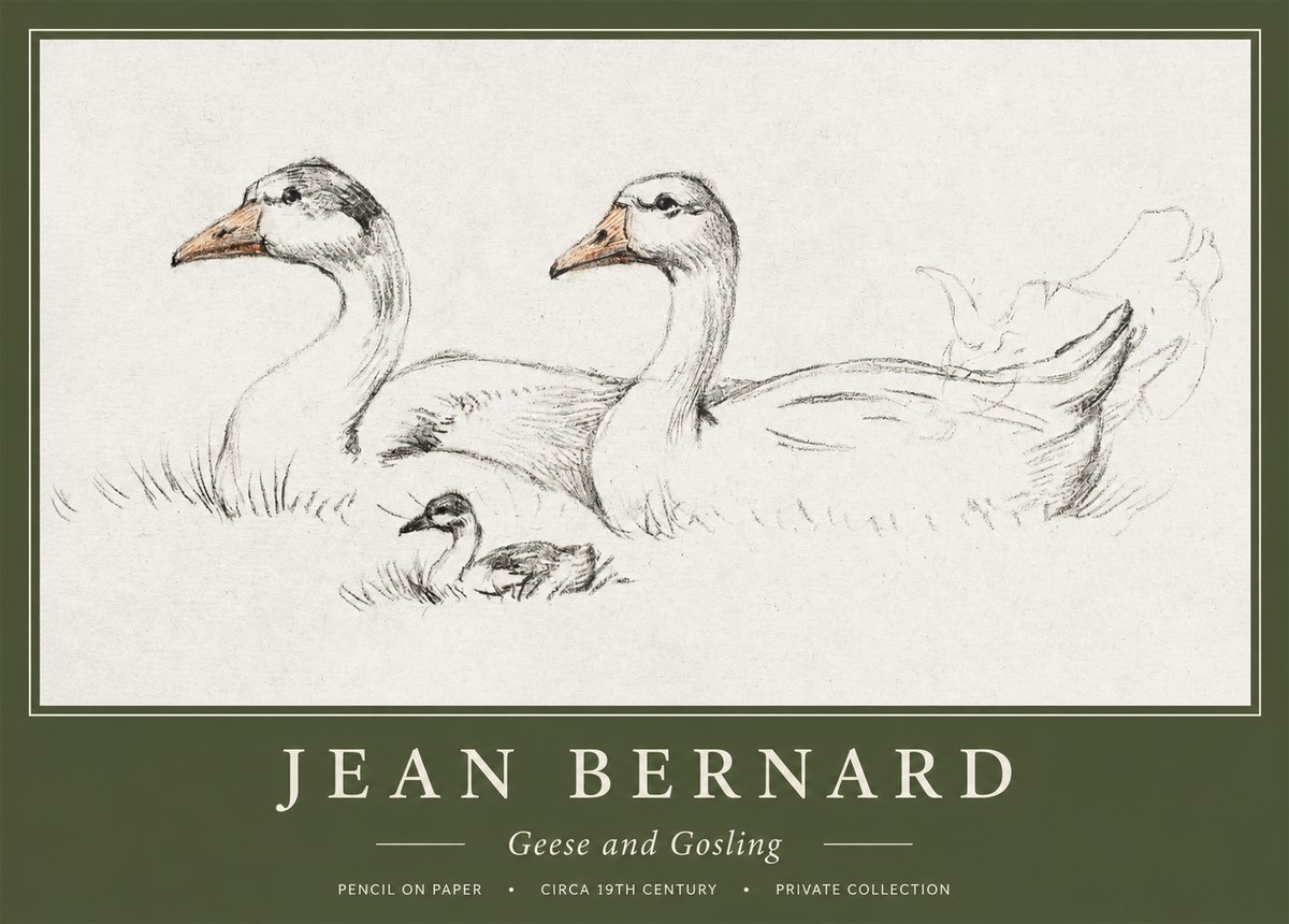 Jean Bernard Study of Geese No2 - Plakat