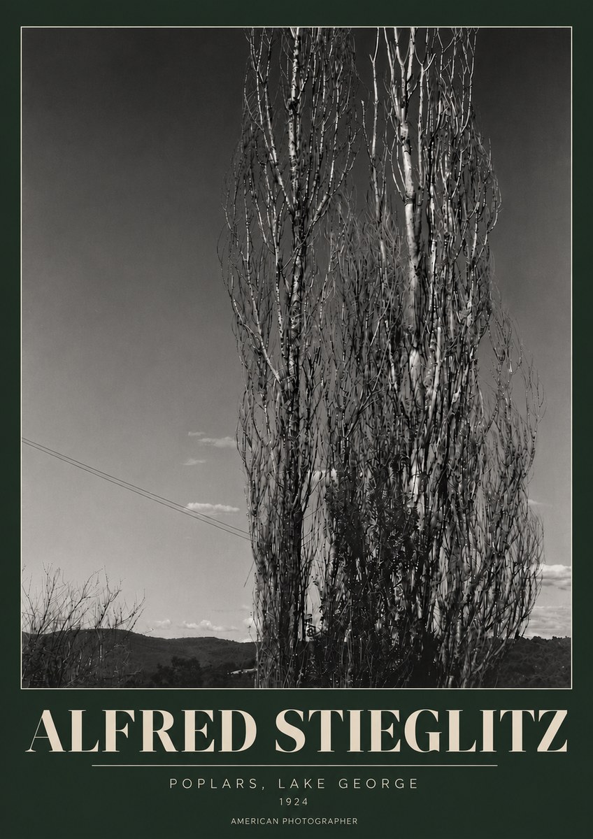 Alfred Stieglitz Trees - Lake George, 1921 No6 - Plakat