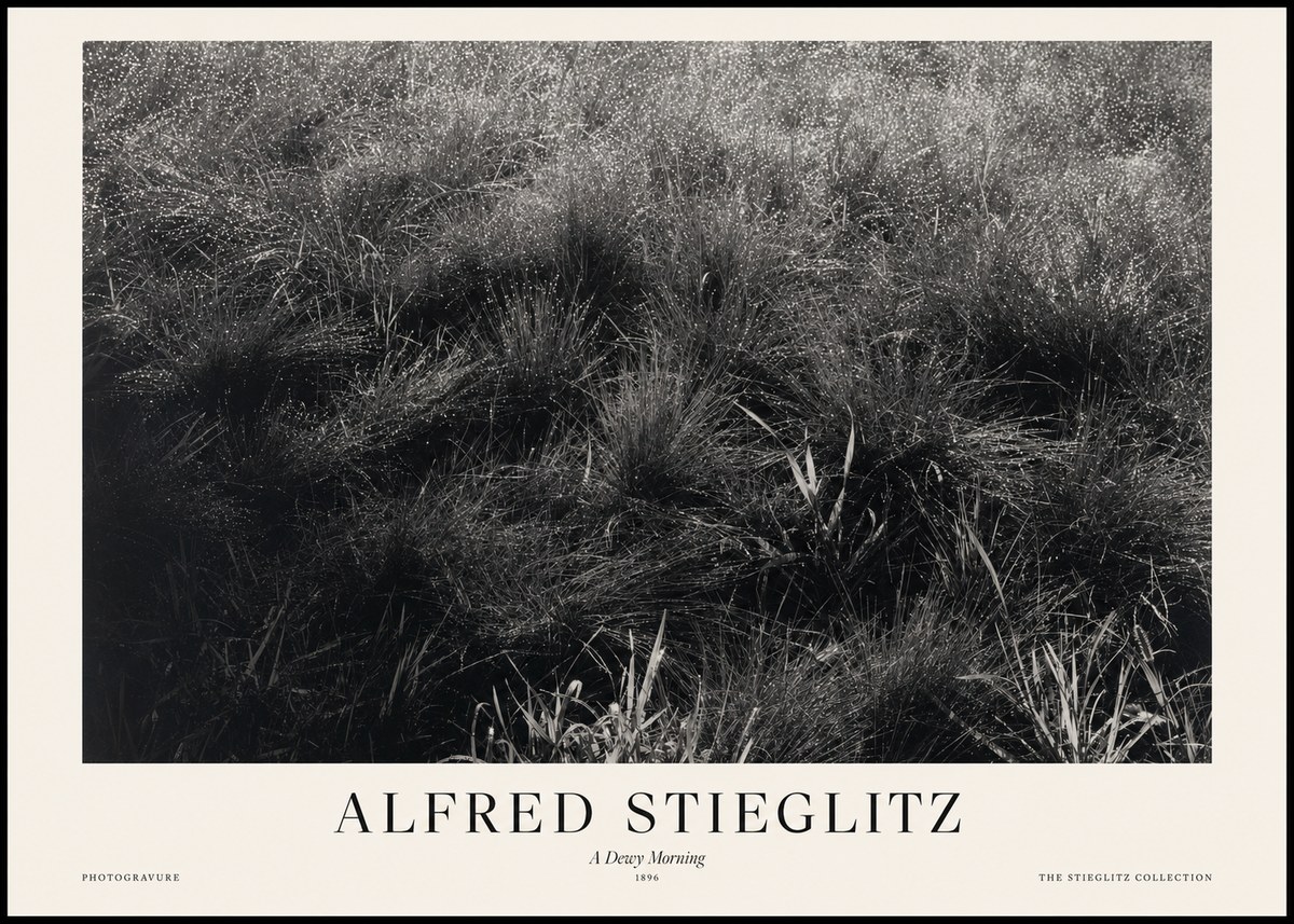 Alfred Stieglitz A Dewy Morning No1 - Plakat