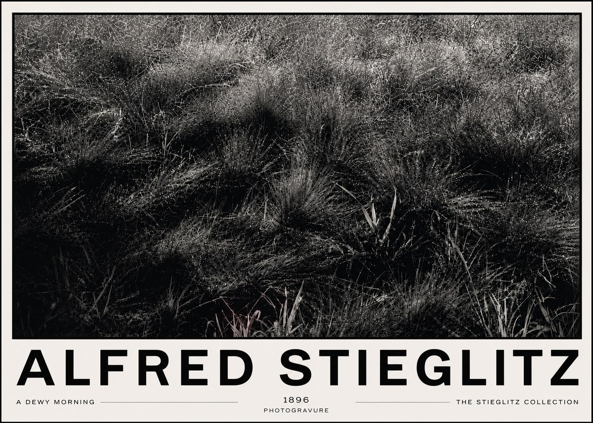 Alfred Stieglitz A Dewy Morning No6 - Plakat