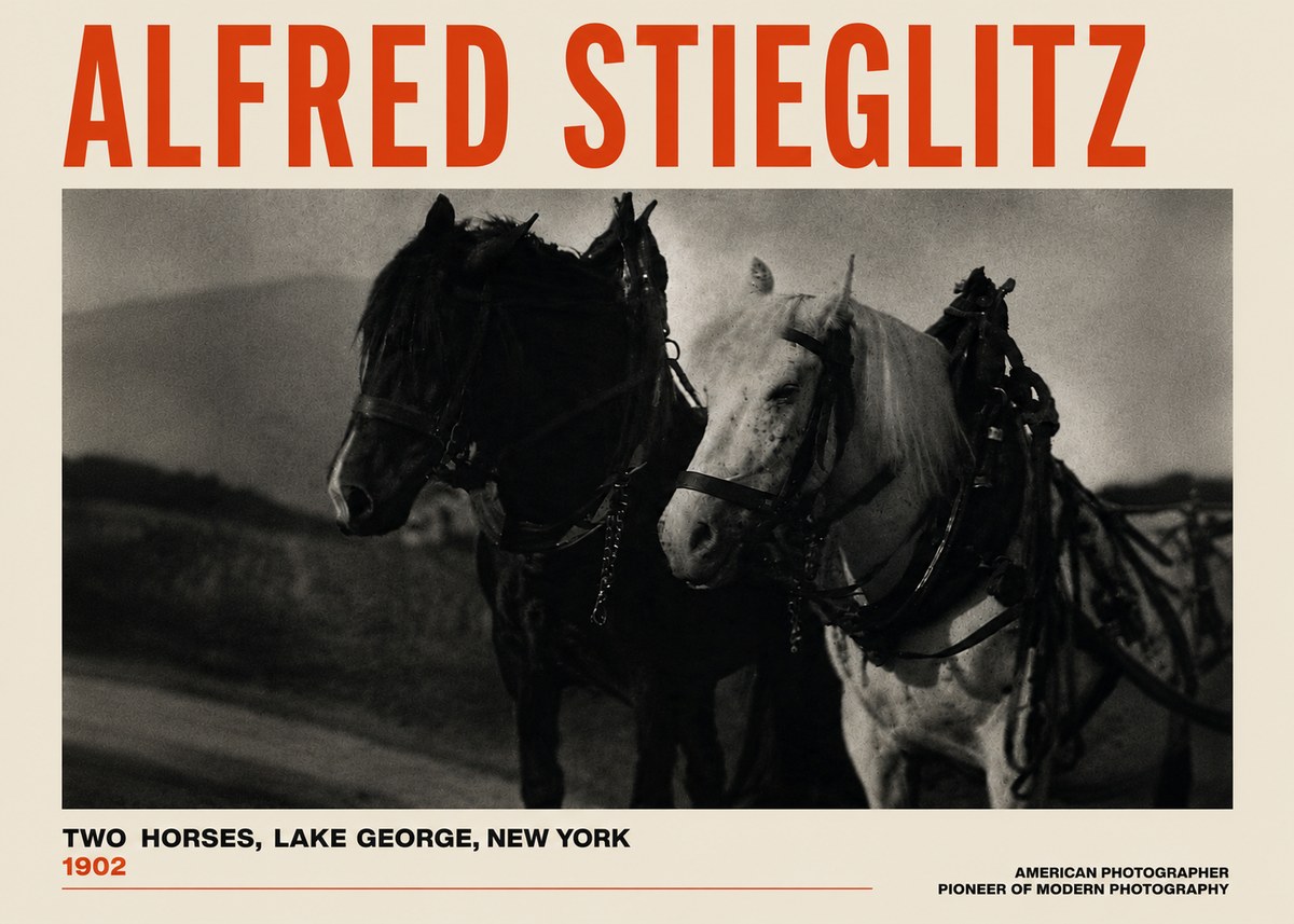 Alfred Stieglitz Two Horses, Lake George, New York No4 - Plakat
