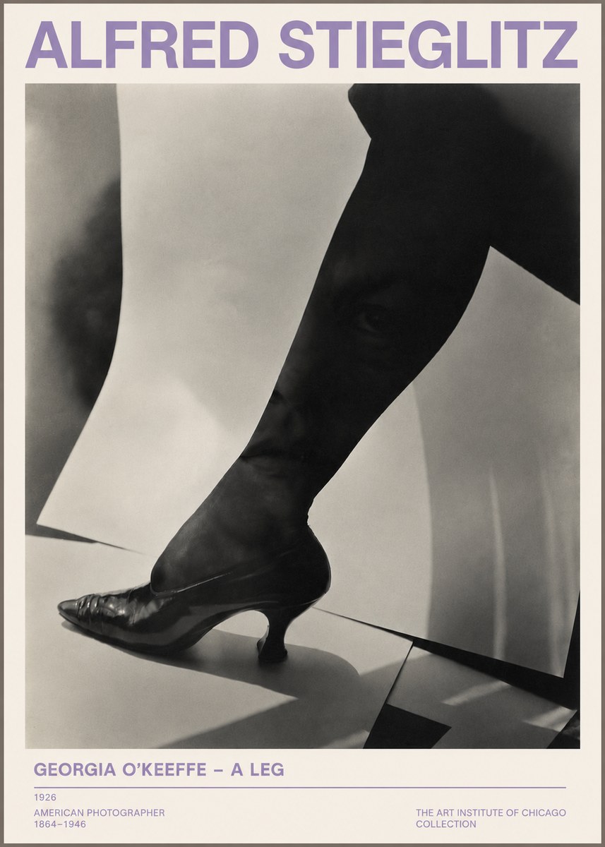 Alfred Stieglitz Georgia O'keeffe – a Leg No3 - Plakat