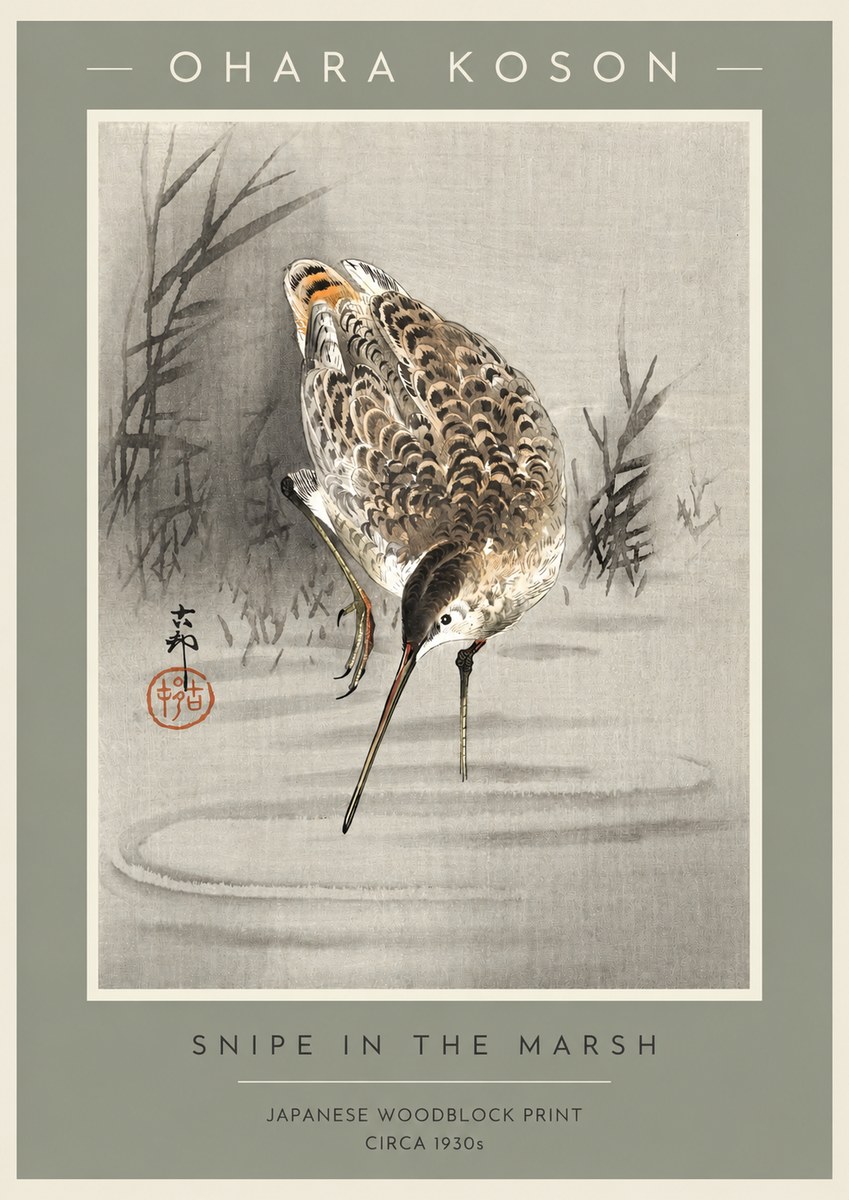 Ohara Koson Snipe in the Marsh No2 - Plakat