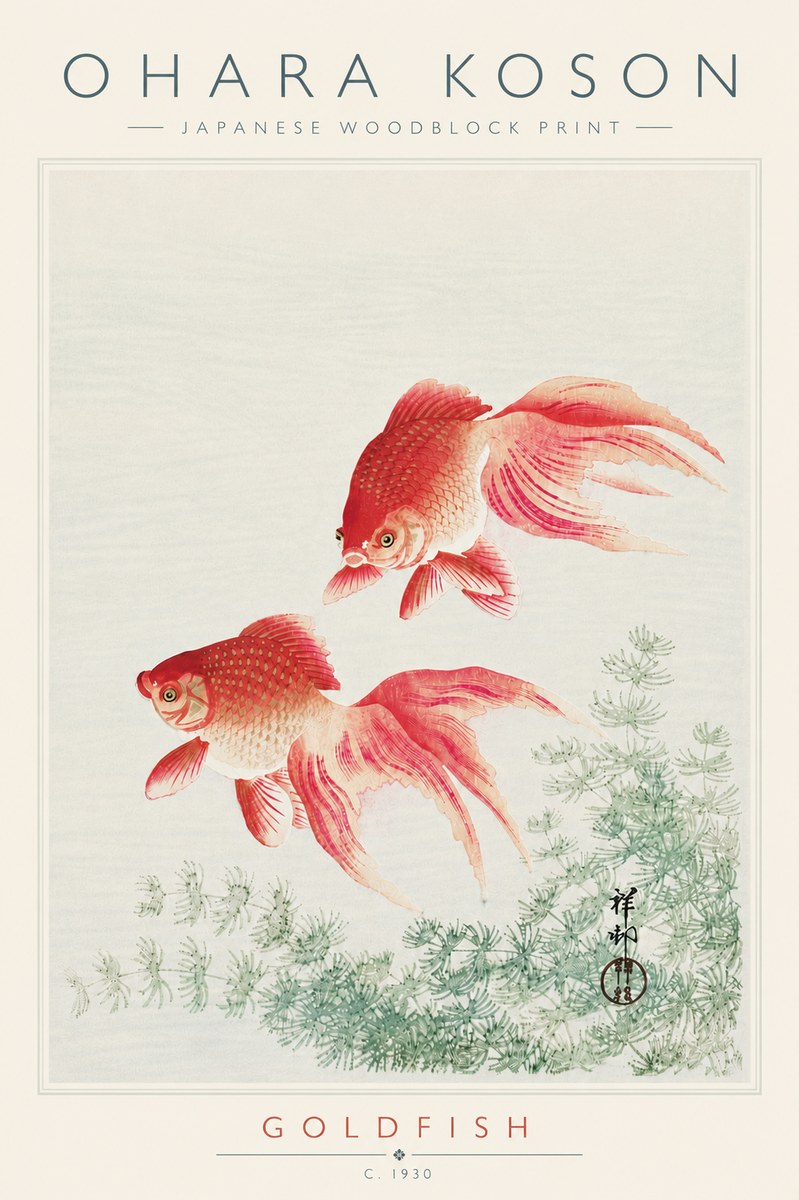 Ohara Koson Goldfish No6 - Plakat