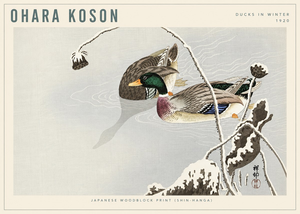 Ohara Koson Ducks in Winter No6 - Plakat