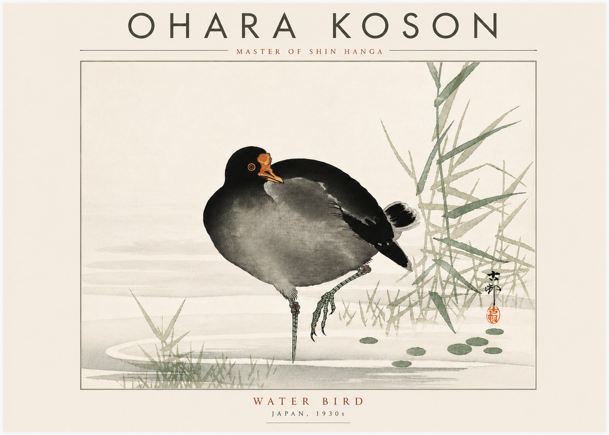 Ohara Koson Water Bird No6 - Plakat